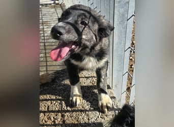 Pesca: Spaß und gute Laune garantiert