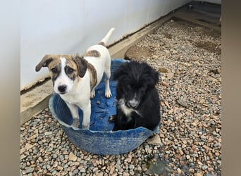 Ave: Spaß und gute Laune garantiert