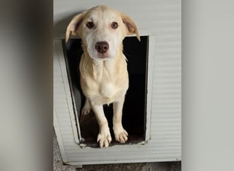 Kenba: ein Schatz für die ganze Familie