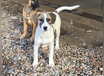 Ave: Spaß und gute Laune garantiert