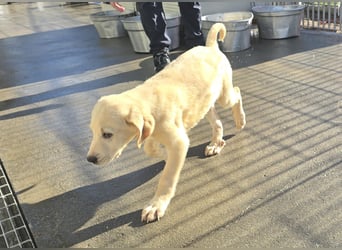 Nami und Noe: vom Flughafen ins schöne Leben