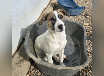 Ave: Spaß und gute Laune garantiert