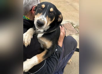 Betty: Eine für Alle