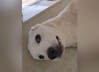 Lea: man muss sie einfach gern haben