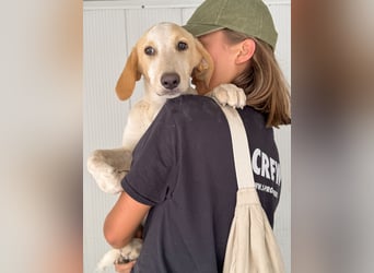 Trilly: unsere kleine Prinzessin