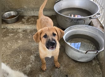 Egidio: freut sich auf ein Leben in einer Familie