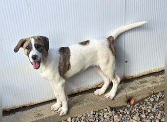 Ave: Spaß und gute Laune garantiert