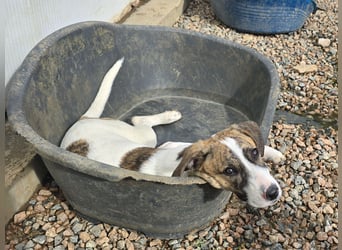 Ave: Spaß und gute Laune garantiert