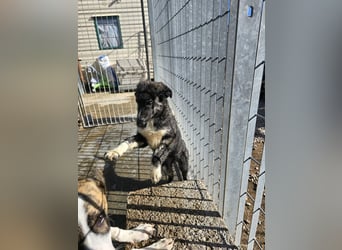 Pesca: Spaß und gute Laune garantiert