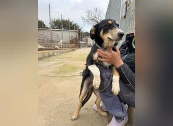 Betty: Eine für Alle