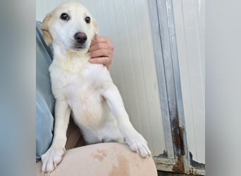 Liz: wer öffnet mir  die Tür?