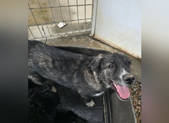 Pesca: Spaß und gute Laune garantiert