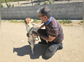 Gilda: erobert alle Herzen mit ihrer Fröhlichkeit