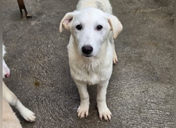 Kate: wird mein Leben bunt und schön?