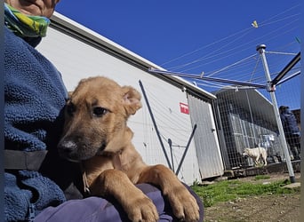 Fritz: er liebt das Leben