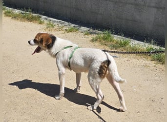 Gilda: erobert alle Herzen mit ihrer Fröhlichkeit