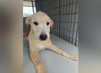 Fidor: Hallo, hier bin ich!