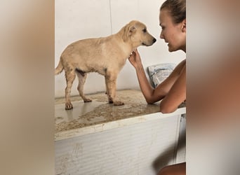 Gianno: kleiner Schatz freut sich auf das Leben
