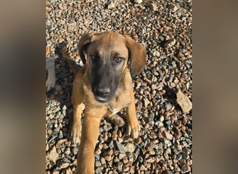 Vento: Spaß und gute Laune garantiert