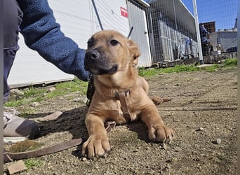 Fritz: er liebt das Leben