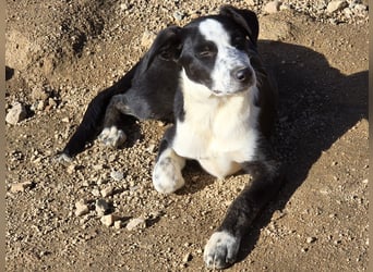 Birkin: Hallo, hier bin ich!