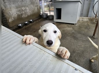 Kate: wird mein Leben bunt und schön?