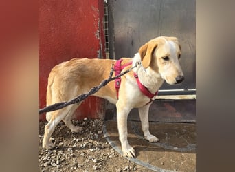 Trilly: ein Schatz für die ganze Familie