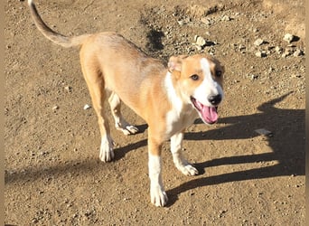 Billie: Hallo, hier bin ich!