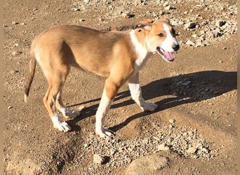 Billie: Hallo, hier bin ich!