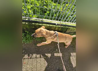 Fritz: er liebt das Leben