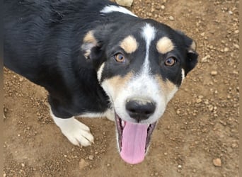 Bill: Hallo, hier bin ich!