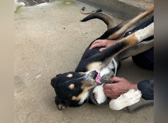 Betty: Eine für Alle