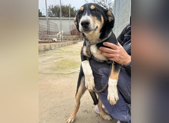 Betty: Eine für Alle