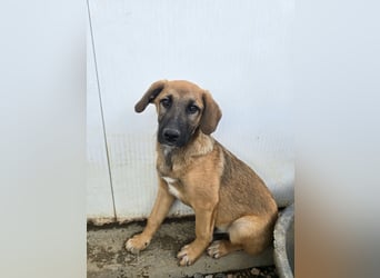 Vento: Spaß und gute Laune garantiert