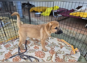 Egidio: freut sich auf ein Leben in einer Familie