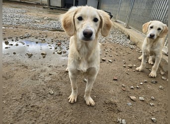 Cameron: kleiner Herzensbrecher