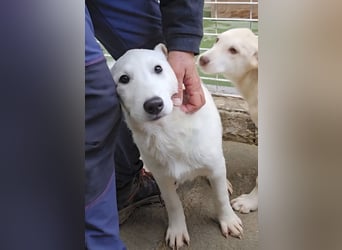 Kate: wird mein Leben bunt und schön?