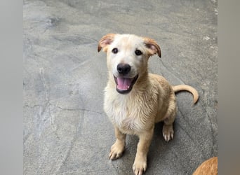 Fidor: Hallo, hier bin ich!