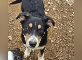 Betty: Eine für Alle