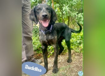 Buddha - voller Lebensfreude