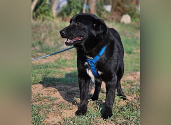 Ebano lebte lange Zeit an der Kette