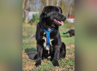 Ebano lebte lange Zeit an der Kette