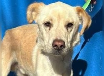 EDU der liebenswerte Bub