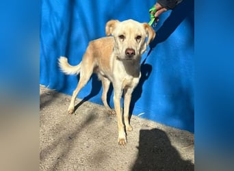 EDU der liebenswerte Bub