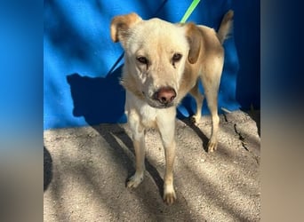 EDU der liebenswerte Bub