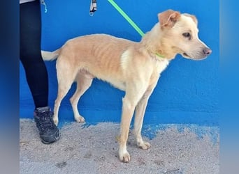 EDU der liebenswerte Bub