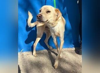 EDU der liebenswerte Bub