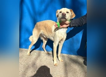 EDU der liebenswerte Bub