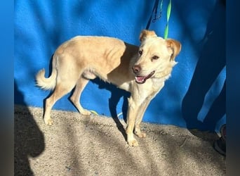 EDU der liebenswerte Bub