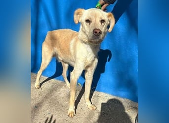 EDU der liebenswerte Bub